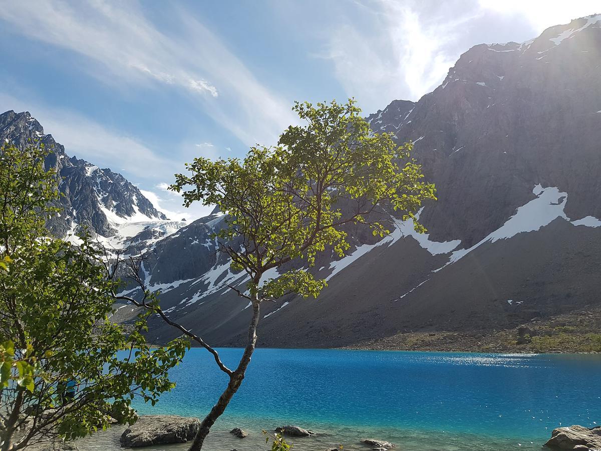 Slåtteng Svensby Exteriör bild